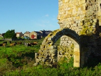 Ravensworth Castle