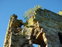 Ravensworth Castle