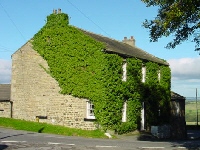 Shoulder Of Mutton